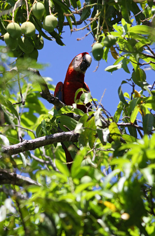 IMG_6159.23.2.jpg