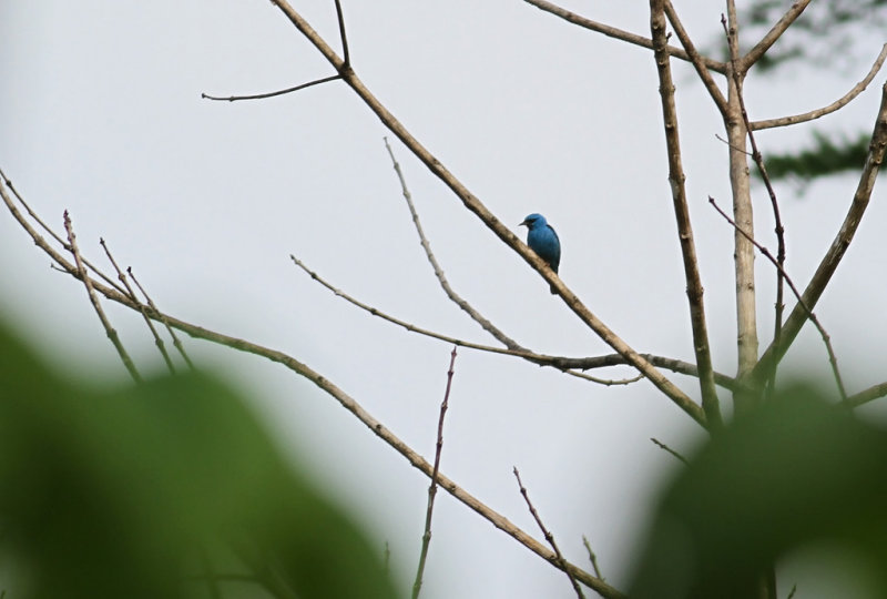 IMG_4962.15.2.jpg
