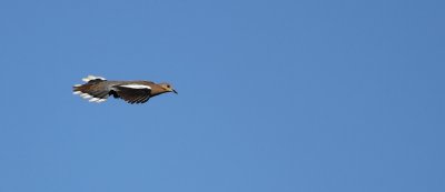 IMG_034612.2.jpg