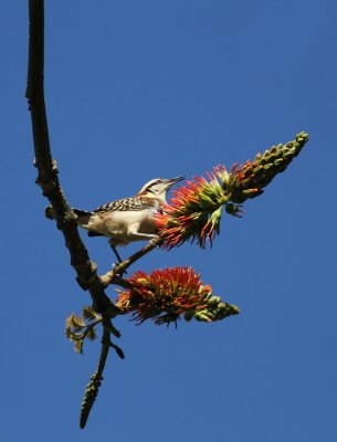 IMG_0431.12.2.jpg