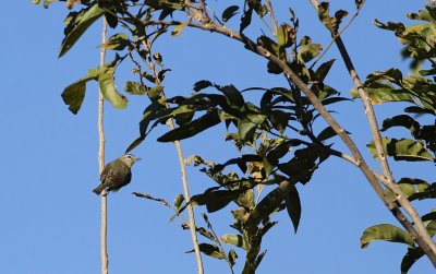 IMG_0308.12.2.jpg