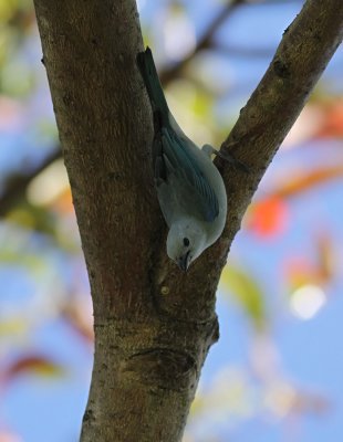 IMG_0459.12.2.jpg