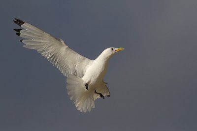 IMG_2184.15.Juli.2011.jpg