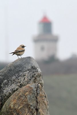 IMG_1376.29.10.11.jpg
