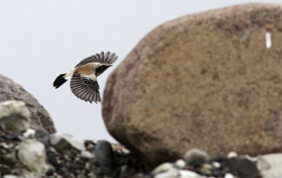 IMG_0975.29.10.11..jpg