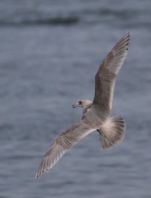 IMG_1688.jpg
