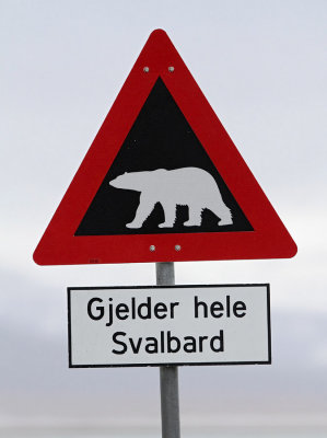 Mixed Svalbard