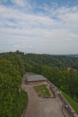 _MG_9942.jpg