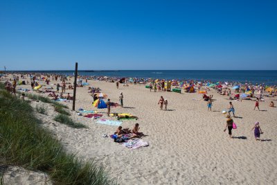 _MG_9530.jpg
