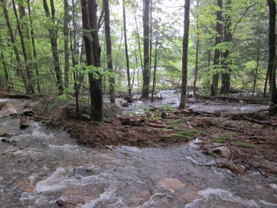 052911-C2-1028 towards lake from road.JPG