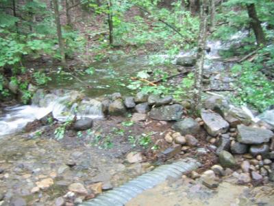 062806-0190-runoff that isnt going through the culvert - second stream.jpg