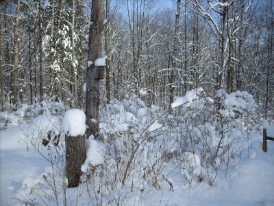 010208-N-1685.JPG