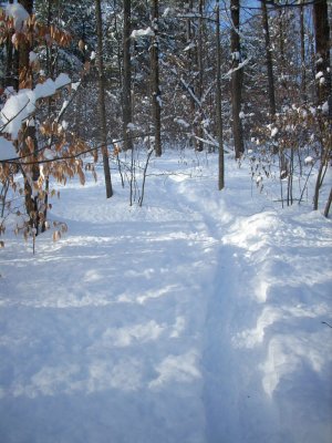 Snowshoe walk - Jan. 2 2008