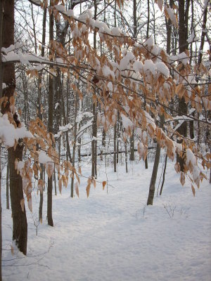 010208-N-1694.JPG