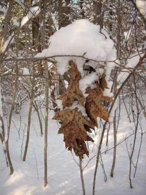 010208-N-1695.JPG
