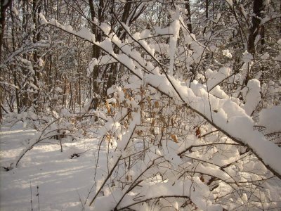 010208-N-1703.JPG