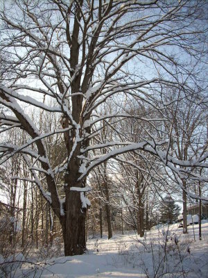 010208-N-1716.JPG
