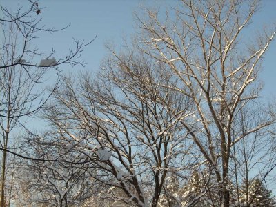010208-N-1719.JPG