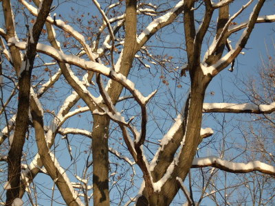 010208-N-1739.JPG