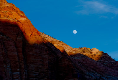MOON OVER ZION