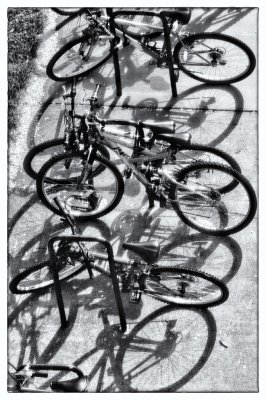 Bikes