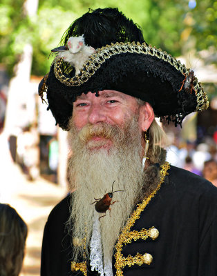Bug in a Beard