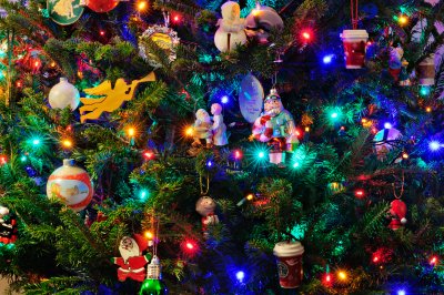 The Tree - 2011 Edition