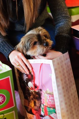 Dickens Celebrates Another Christmas