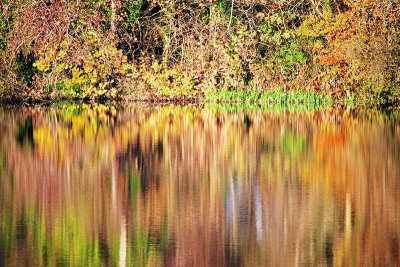 Autumn Reflections