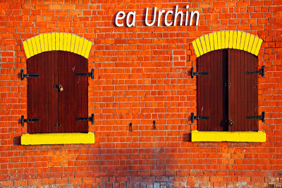 Sea Urchin Pub