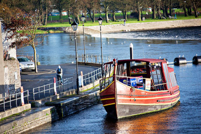 Viking Tours