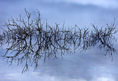 Burren Reflections 2