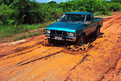 Red Mud Roads