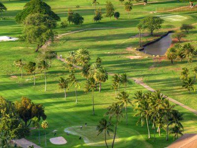 Oahu 3130997