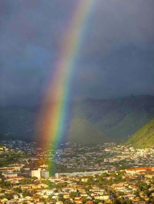 Oahu 3131005>9