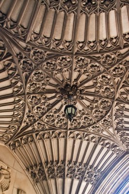 U of T  04.jpg
