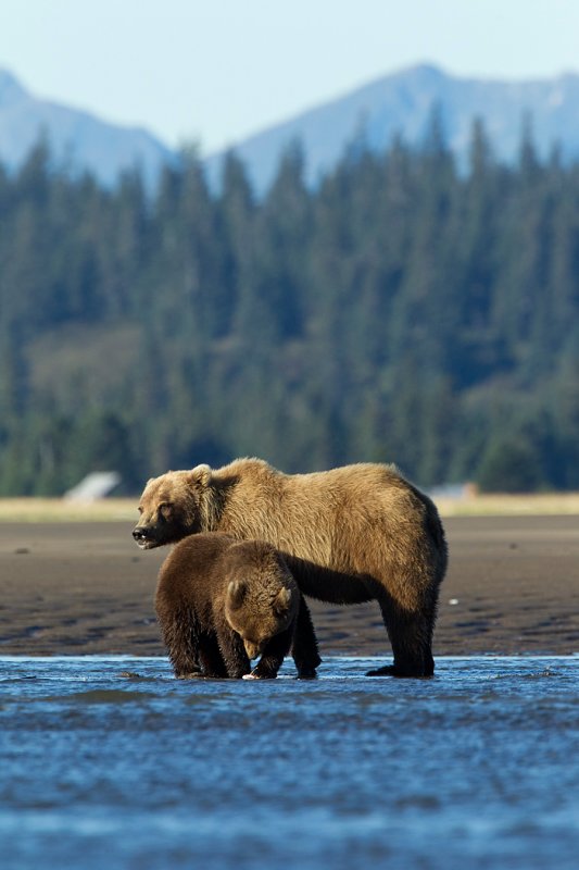 Silver Salmon Creek Lodge AK.jpg