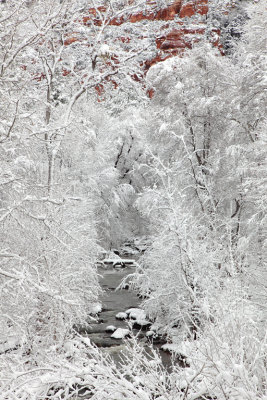 Oak Creek Snow.jpg