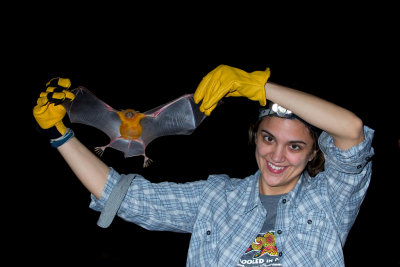 Katie with greater fishing bat.JPG