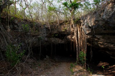 A bat cave in Mexico01.jpg