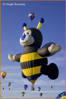 USA - New Mexico - Albuquerque Balloon Fiesta