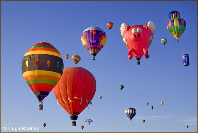 USA - New Mexico - Albuquerque Balloon Fiesta