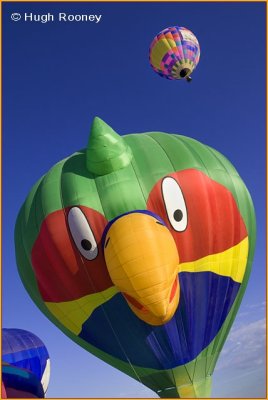  USA - New Mexico - Albuquerque Balloon Fiesta