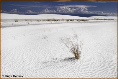 USA - New Mexico - White Sands National Monument