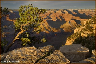 USA - Arizona - Grand Canyon