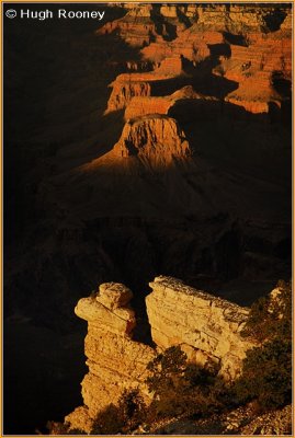  USA - Arizona - Grand Canyon