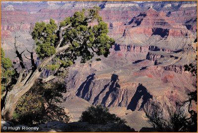  USA - Arizona - Grand Canyon