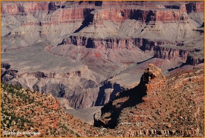  USA - Arizona - Grand Canyon