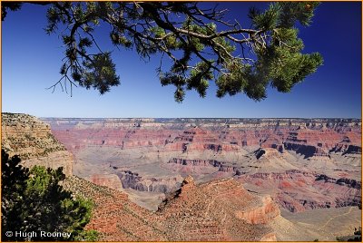 USA - Arizona - Grand Canyon