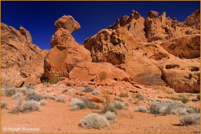 USA - Nevada - Valley of Fire State Park